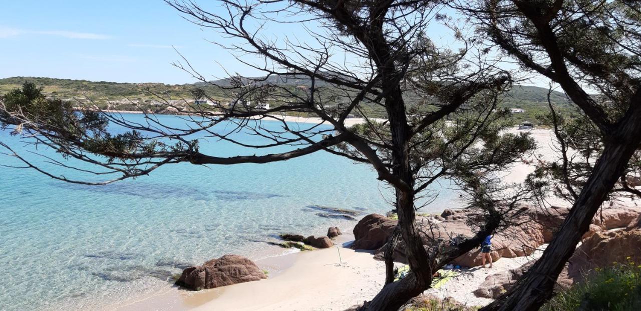 un angolo di Paradiso a pochi passi dal mare nel villaggio Calarossa Isola Rossa Esterno foto